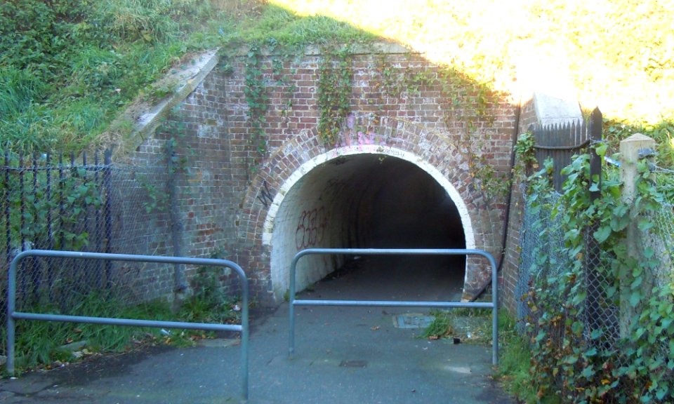 Cattle Arch near Victoria Road, Portslade (November 2015) (1)