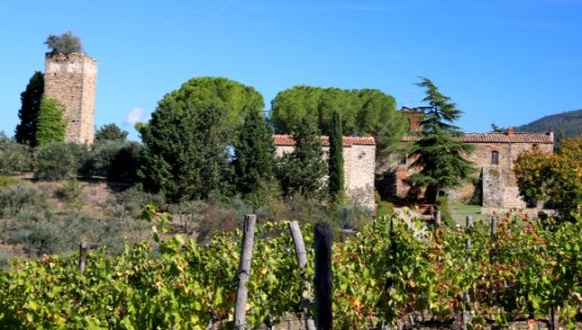 Castello di quarate