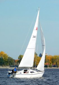 Catalina Capri 22 sailboat 3995
