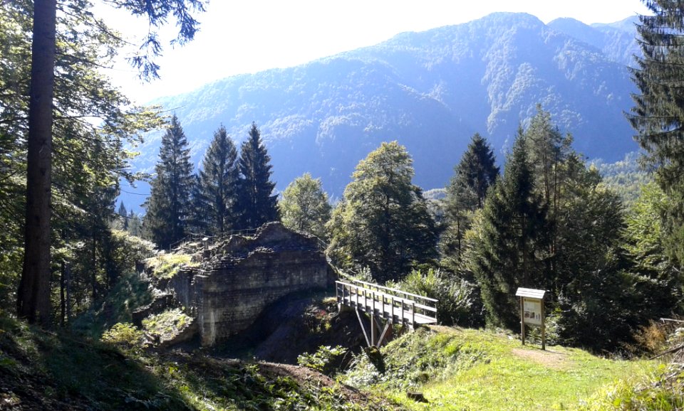 CastelloSacuidic