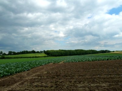 Catsop-De Horst