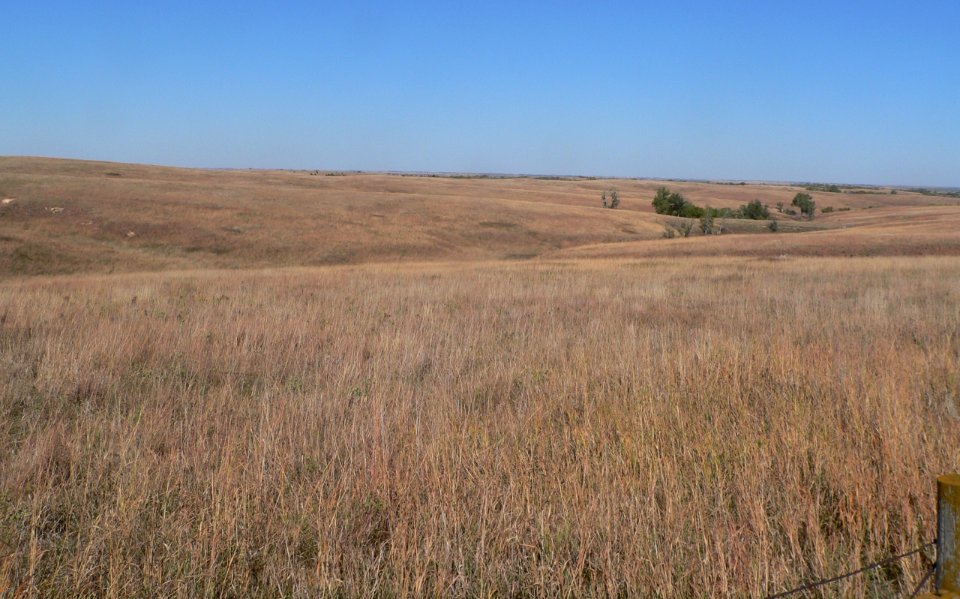 Cather Prairie Oct2013 photo 5 of 6