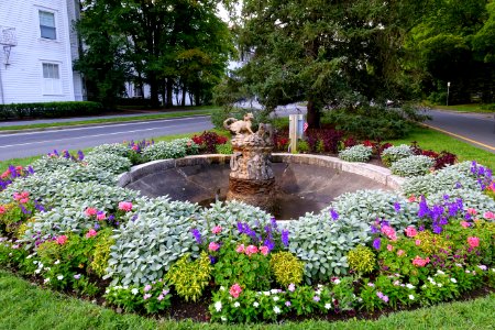 Cat and Dog Fountain - Stockbridge, Massachusetts - DSC05877