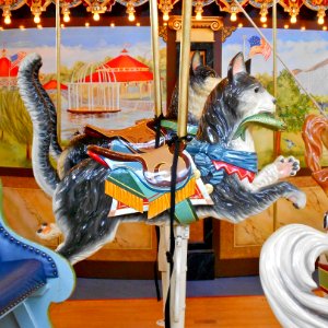 Cat fish Carousel Philly