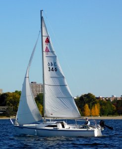 Catalina Capri 22 sailboat 4036