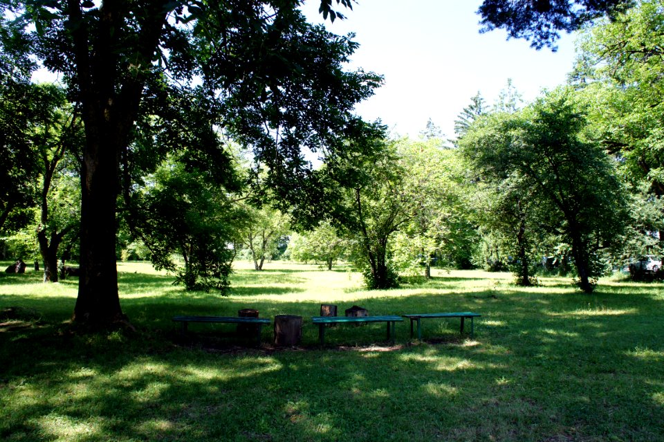 Castelul Iulia Hasdeu06