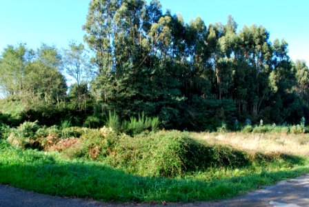 Castro de Carreira Valdoviño A Coruña