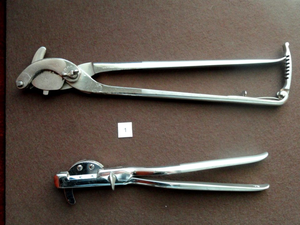 Castration instruments - Arppeanum - DSC05123