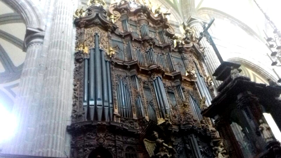 Catedral Cdmx El Organo (241142653)