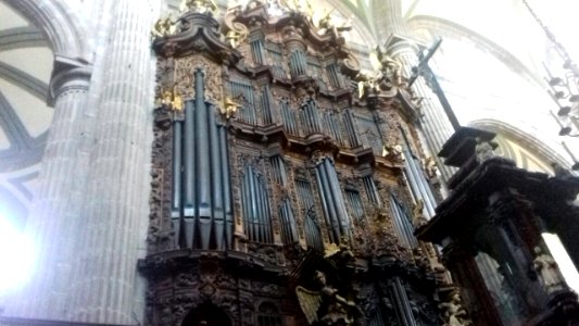 Catedral Cdmx El Organo (241142653)