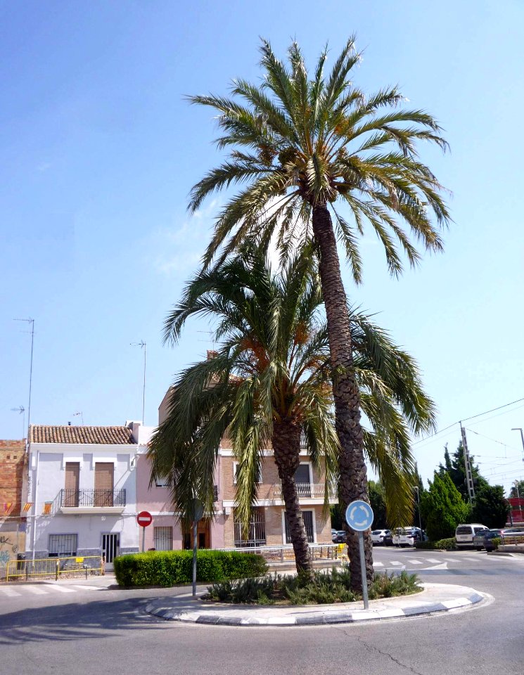 Catarroja 01