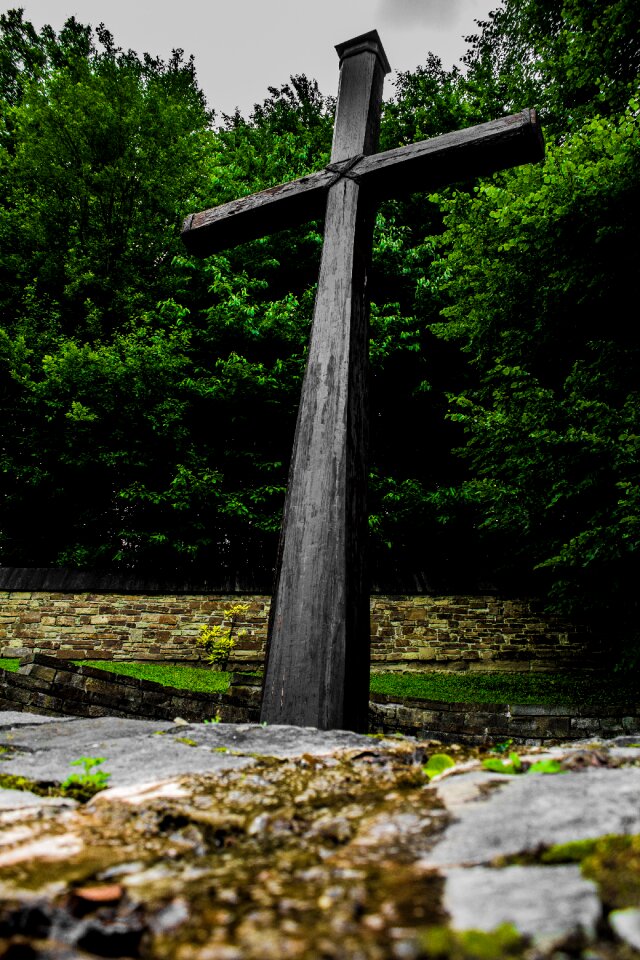 Cross trees slovakia