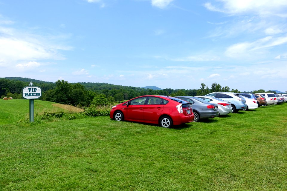Castleton Festival grounds 2015 - DSC01471