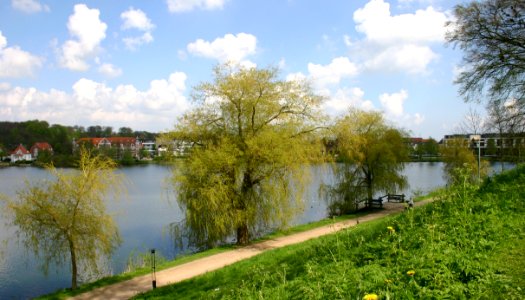 Castlelake - Slotssøen in Kolding.Denmark.002