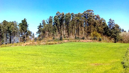 Castro de Cerneda Cambre