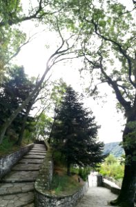Castello di Canossa 27