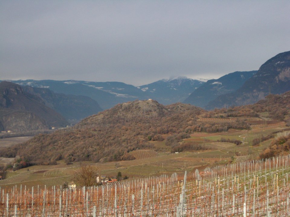 Castelfeder as seen from Mazon