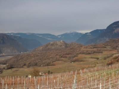 Castelfeder as seen from Mazon