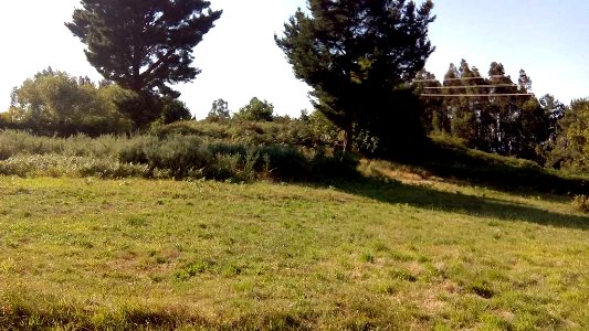 Castro de Barallobre Fene A Coruña