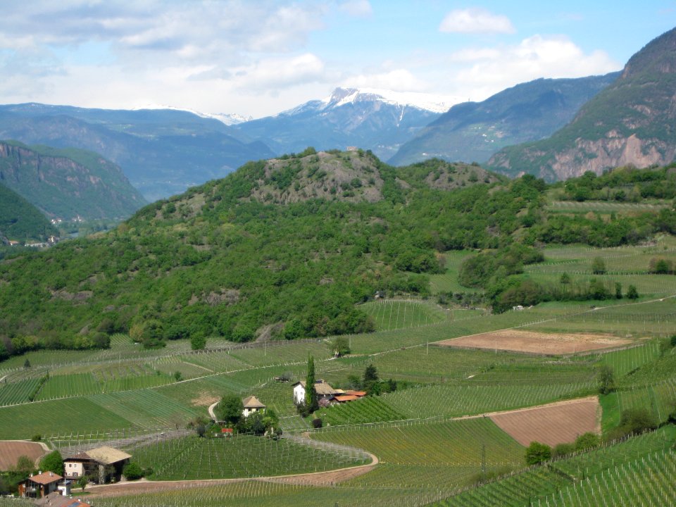 Castelfeder von Mazon
