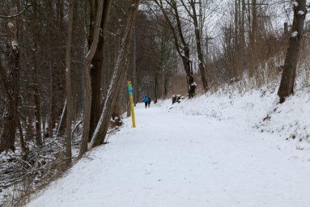 Causeway Templiner See with snow 2021-02-07 06
