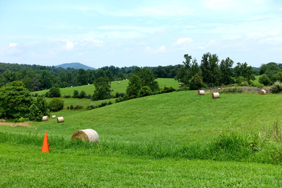 Castleton Festival grounds 2015 - DSC01473