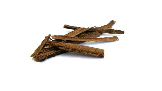 Traditional chinese medicine chinese herb bark photo