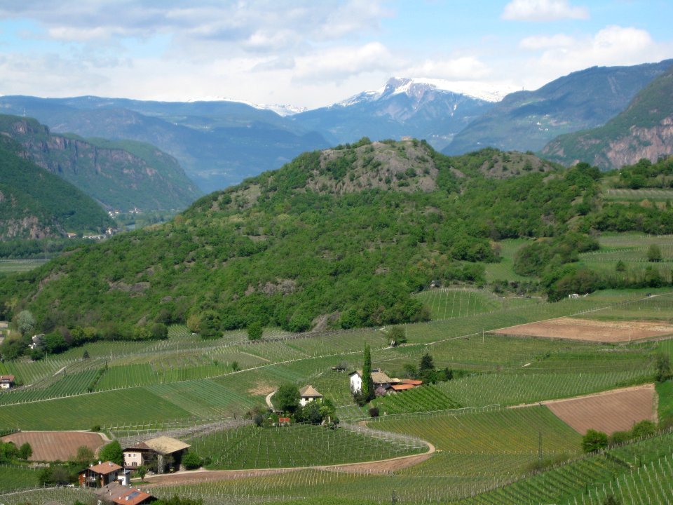 Castelfeder von Mazon 2