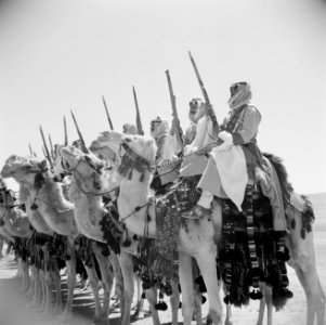 Cavalerie op dromedarissen van de koninklijke erewacht bij een generale repetiti, Bestanddeelnr 255-5091