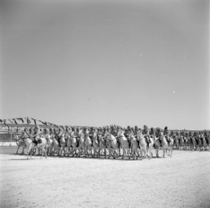 Cavalerie te paard van de koninklijke erewacht bij een generale repetitie voor e, Bestanddeelnr 255-5087
