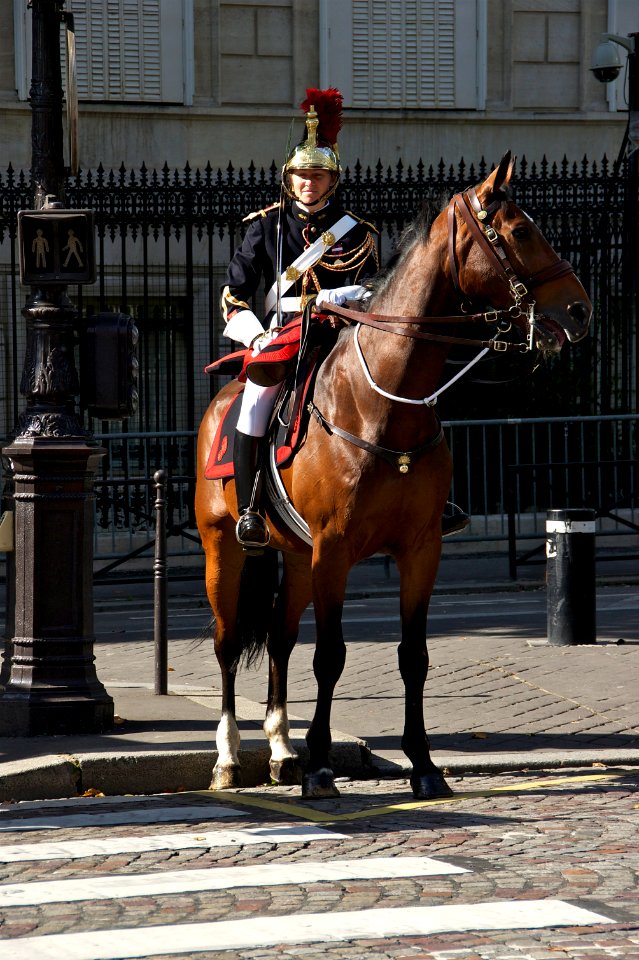 Cavalière Garde Républicaine Avenue de Friedland 14 juillet 2012