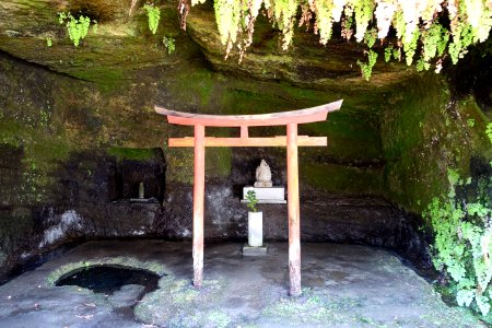 Cave with torii - Kaizo-ji - Kamakura, Kanagawa, Japan - DSC08256