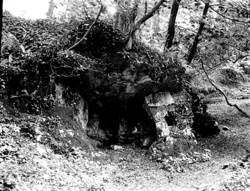 Cave in the woods (1294108)