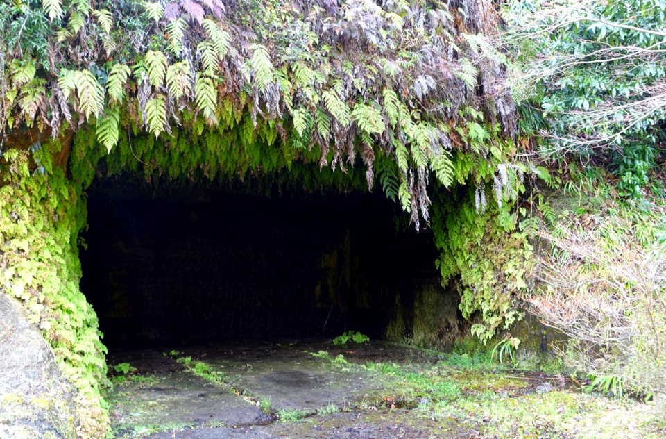 Cave - Eishō-ji - Kamakura, Kanagawa, Japan - DSC08188