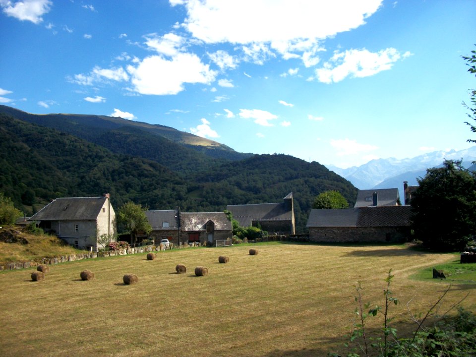 Cazaux-Layrisse 01