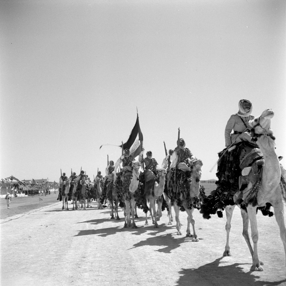 Cavalerie op dromedarissen van de koninklijke erewacht bij een generale repetiti, Bestanddeelnr 255-5090