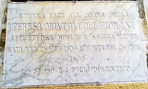 Cavriago (Province of Reggio Emilia) 36