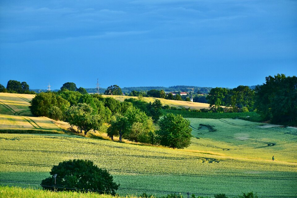 Cereals land abendstimmung