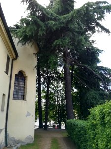 Cavriago (Province of Reggio Emilia) 27
