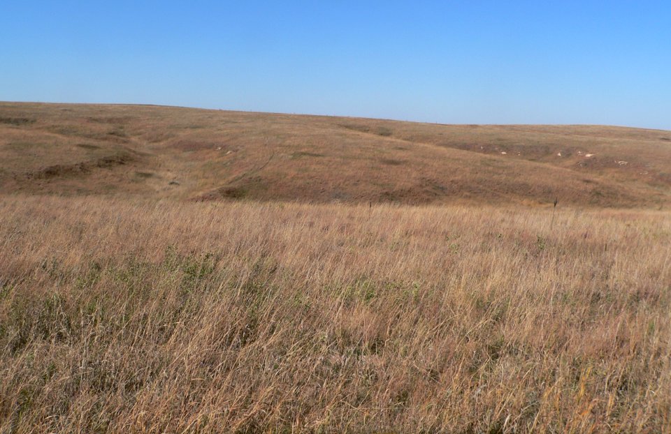 Cather Prairie Oct2013 photo 3 of 6