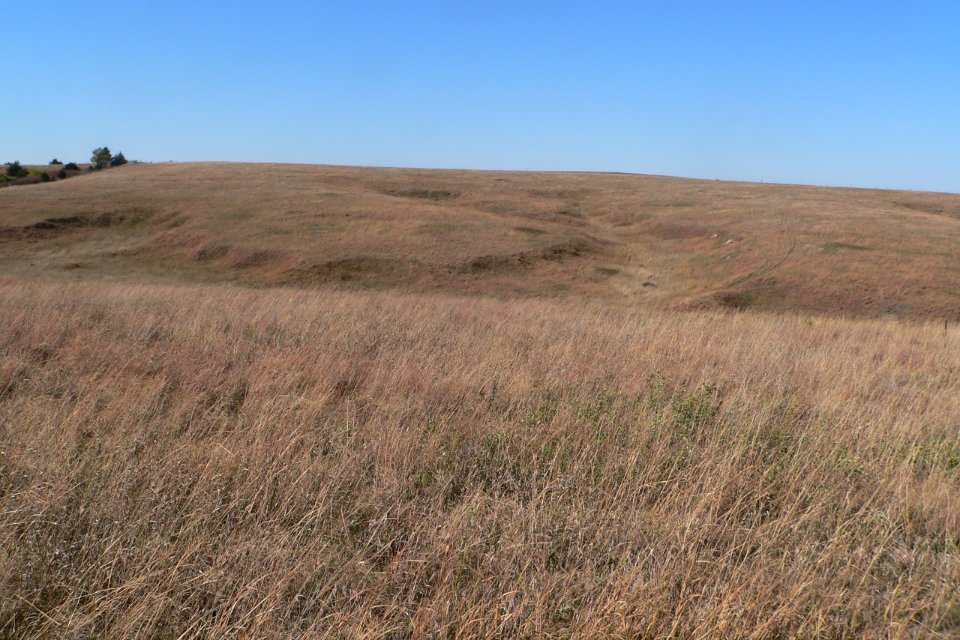 Cather Prairie Oct2013 photo 2 of 6