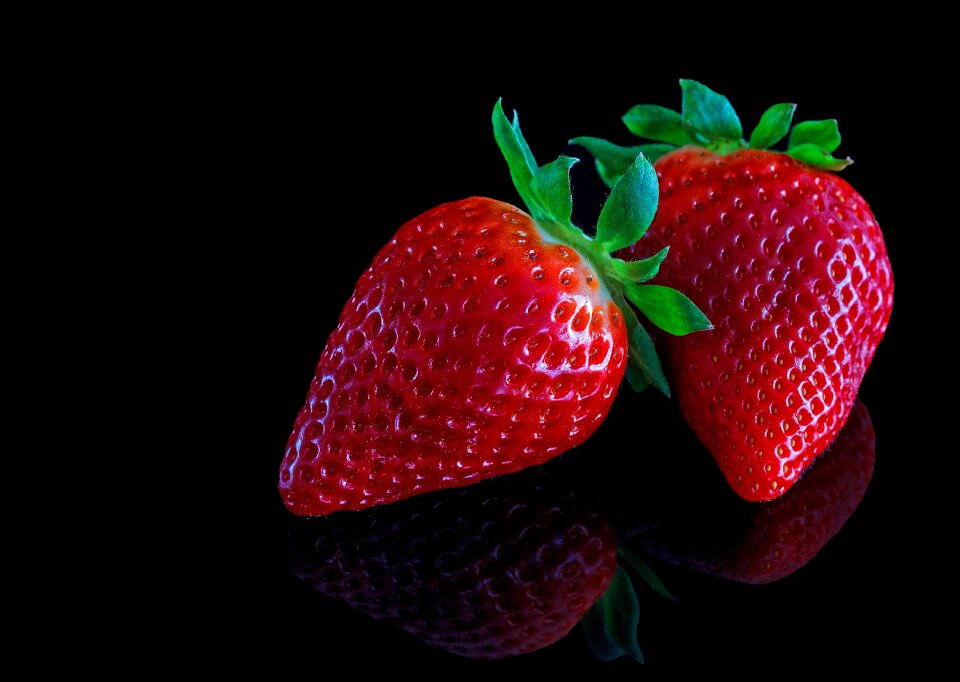 Fruit macro plant