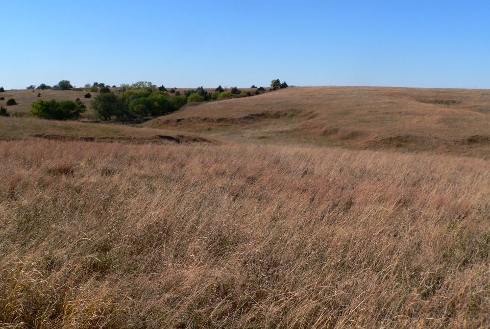 Cather Prairie Oct2013 photo 1 of 6