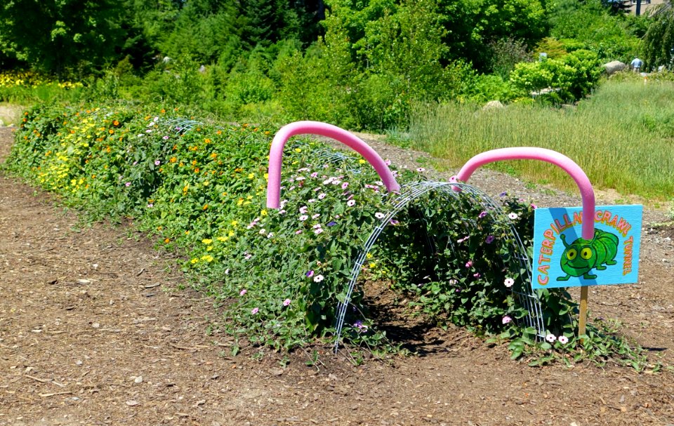 Caterpillar Crawl Tunnel - Coastal Maine Botanical Gardens - DSC03058