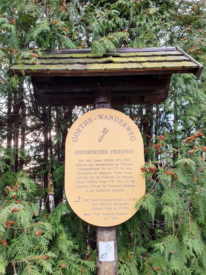 Cemetery Ilmenau 1