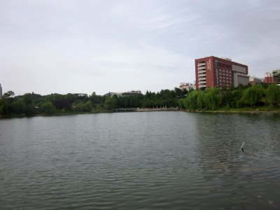 Changsha University of Science and Technology47
