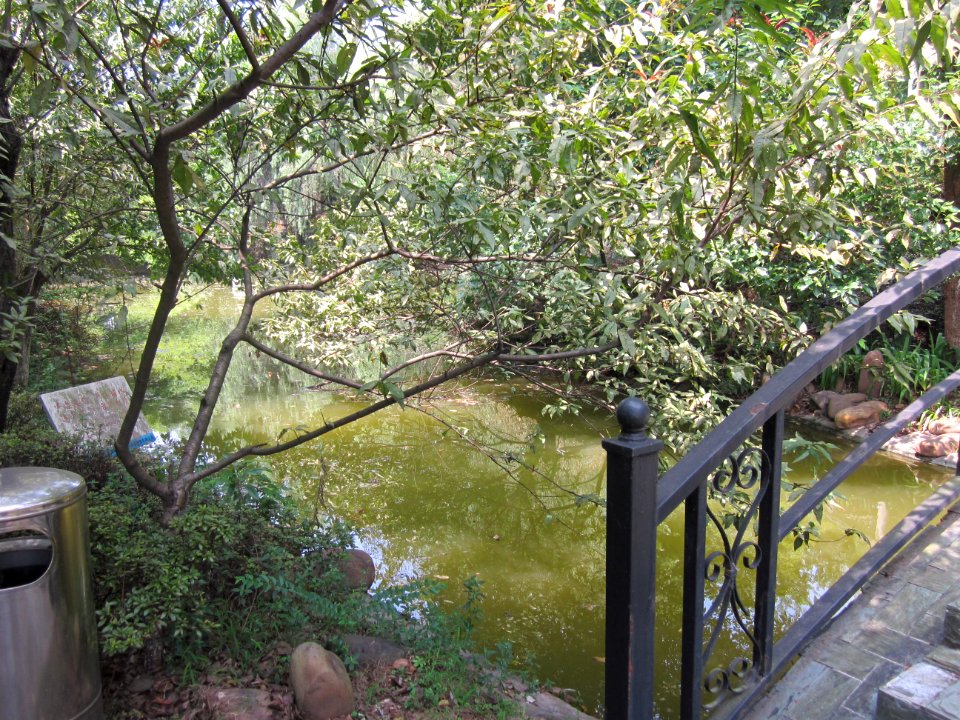 Changsha University02