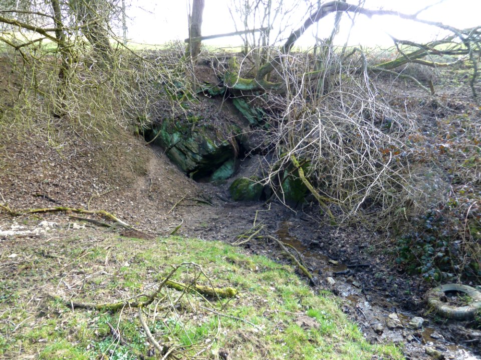 Chantoir - Longeville - Trou du Renard (1)