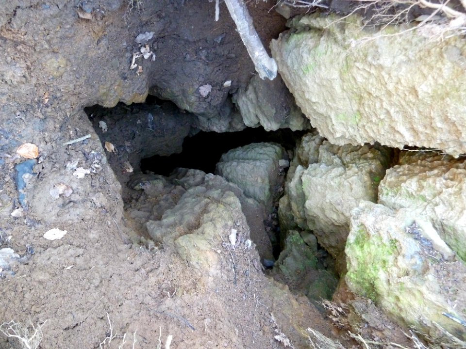 Chantoir - Roche aux Faucons (4)