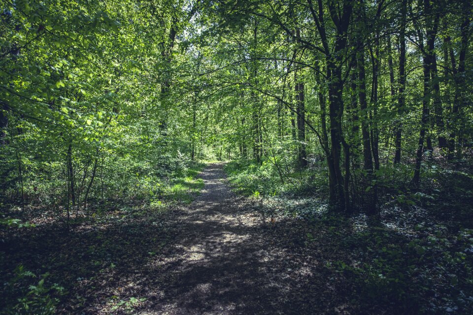 Hike enjoyable hike nature